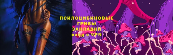 jwh Инсар
