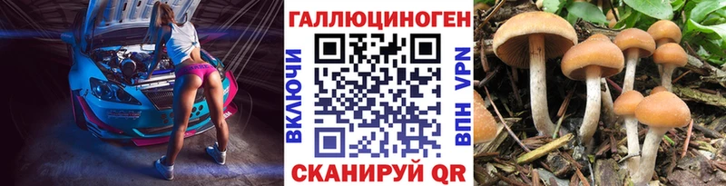 Псилоцибиновые грибы мухоморы  Купить закладки  Тогучин 